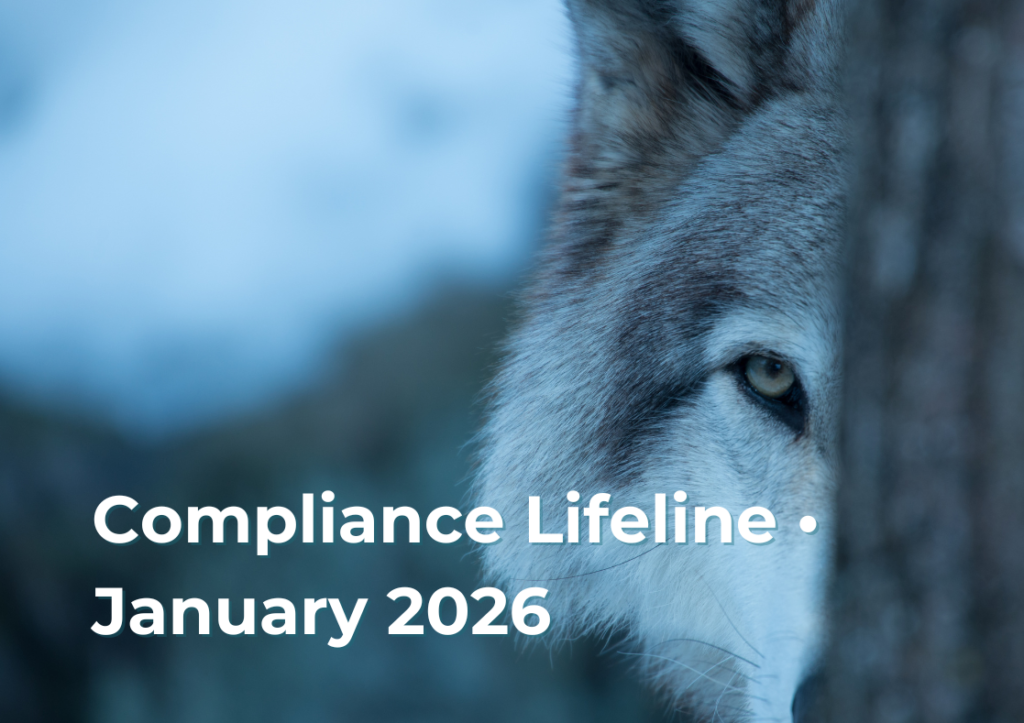 Compliance news for law firms - wolf peeping around a trree